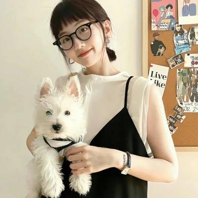 龙仁告别 海报